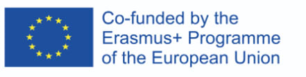 Erasmus logo 