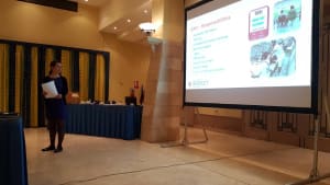 CAFE провел презентацию перед Футбольной ассоциацией Мальты и клубами о доступности и вовлеченности